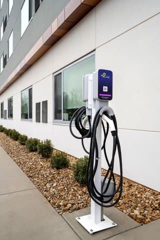 Eighth Element Springfield photo