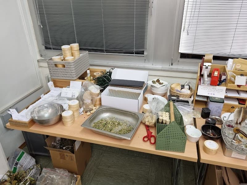 Elemi Šiauliai photo