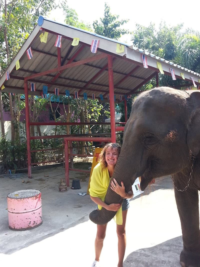 Elephant Thai massage Hua Hin photo