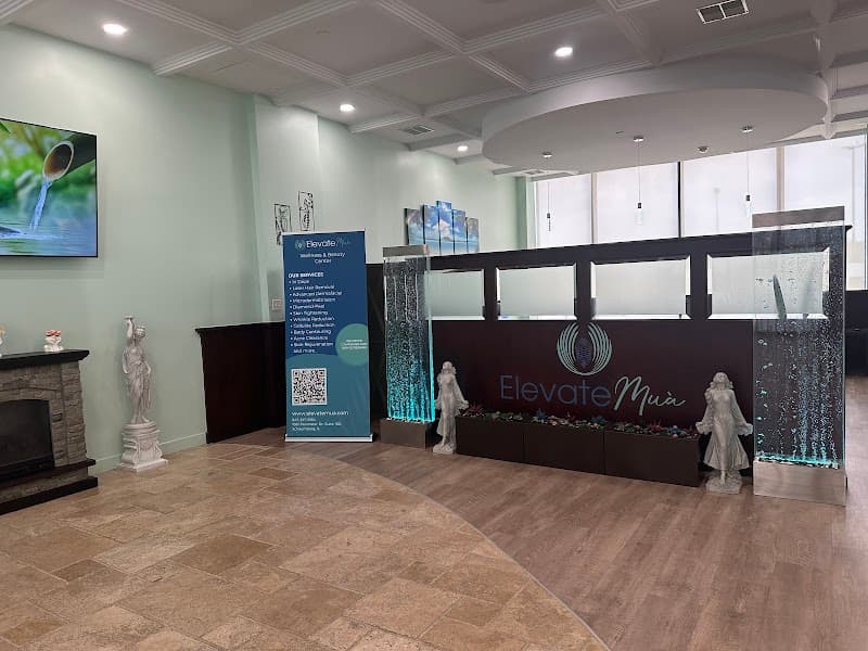 ElevateMua Wellness and Beauty Schaumburg photo