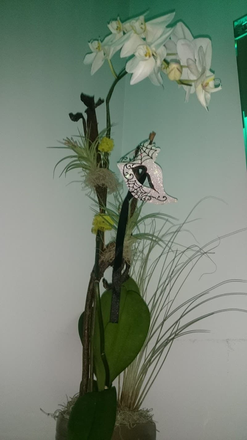 Eleven Spa Delray Delray Beach photo