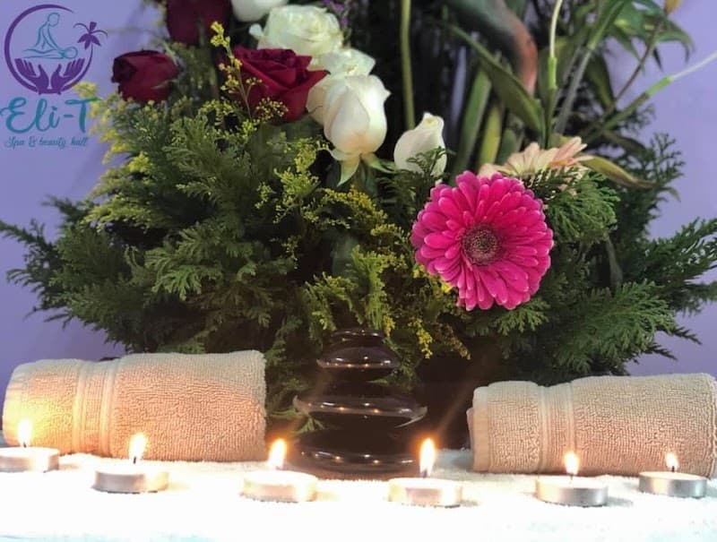 Eli-T Spa and Beauty Hall Monterrey photo