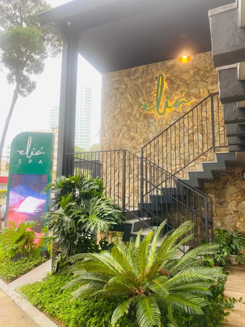 Elia Spa Metepec photo