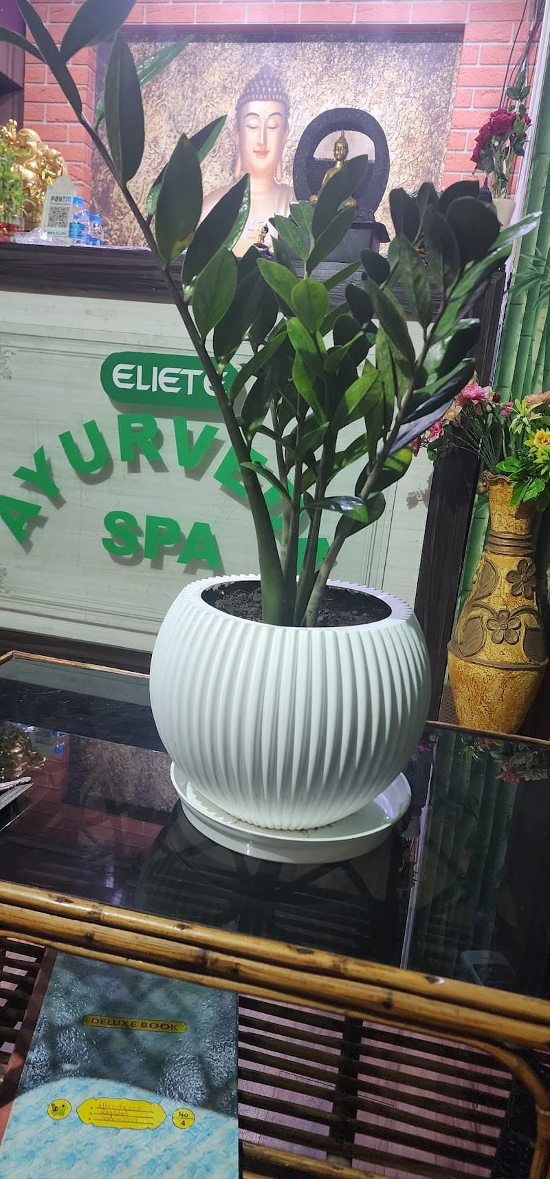 Elite Ayurveda Spa Bhubaneswar photo