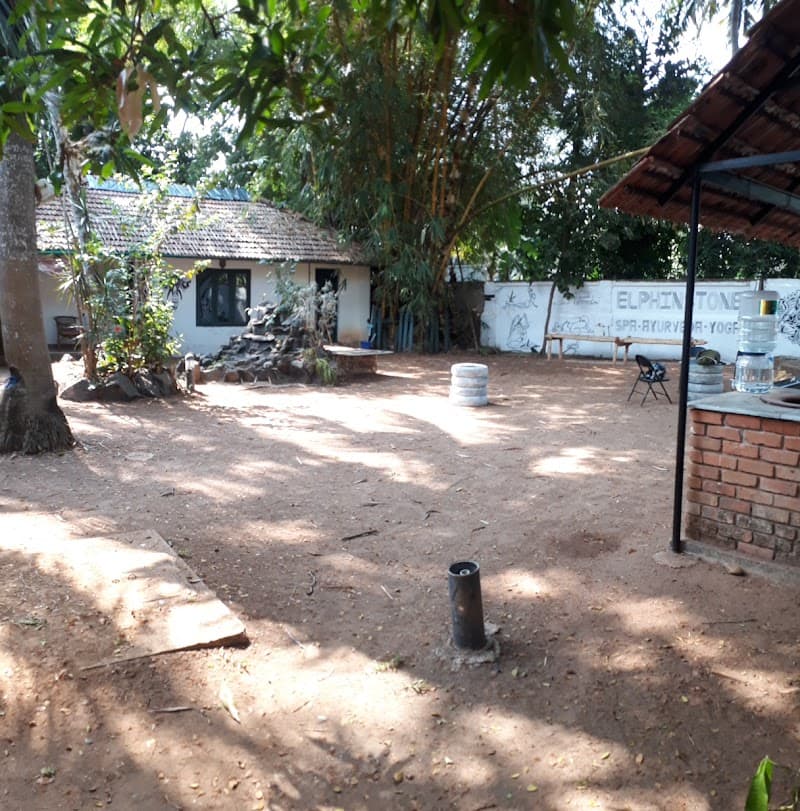 Elphinstone Spa Kochi photo
