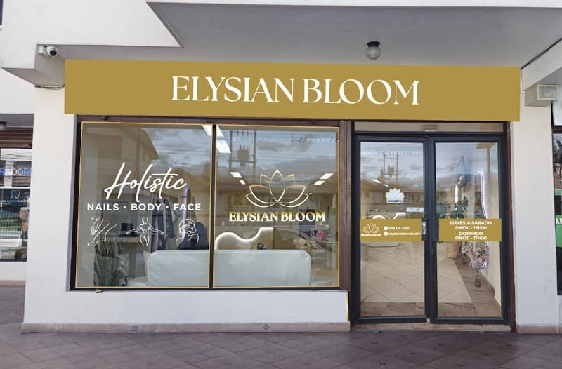 Elysian Bloom Studio San José de Ayora photo
