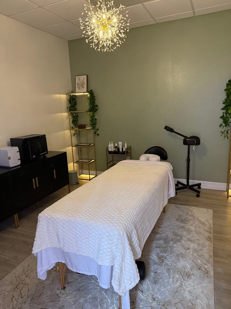 Elysian Wellness Bodyworks and Aesthetics Spring Hill photo