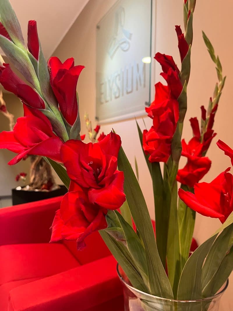 Elysium Spa Wroclaw photo