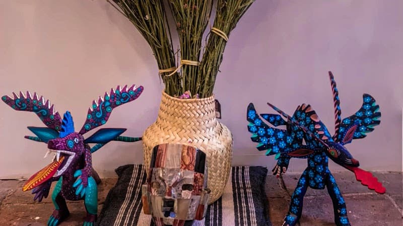 Oaxaca de Juárez embellit Viridiana Marchain Spa photo