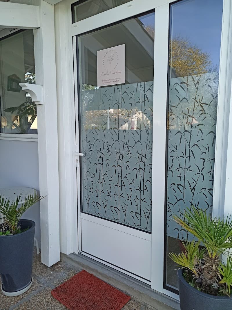 Emilie Saunière- Accompagnement au mieux-être Saint-Orens-de-Gameville photo