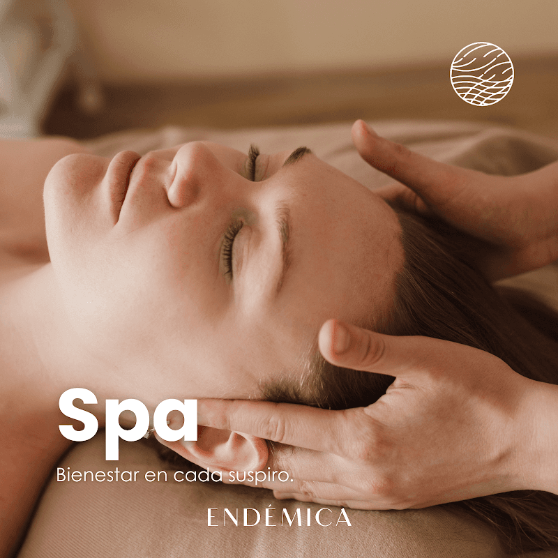 Endémica Medicina Estética y Spa San Martín de las Pirámides photo