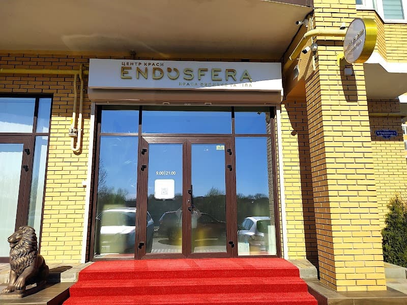Endosphere Chernivtsi Zastavna District photo