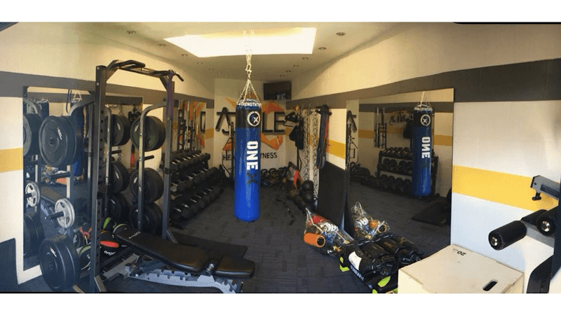 Equal Angles Health & Fitness Rochester photo