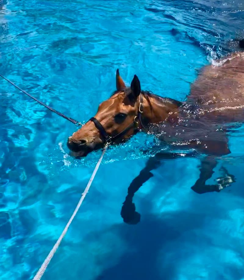 Equatic Spa San Marcos photo