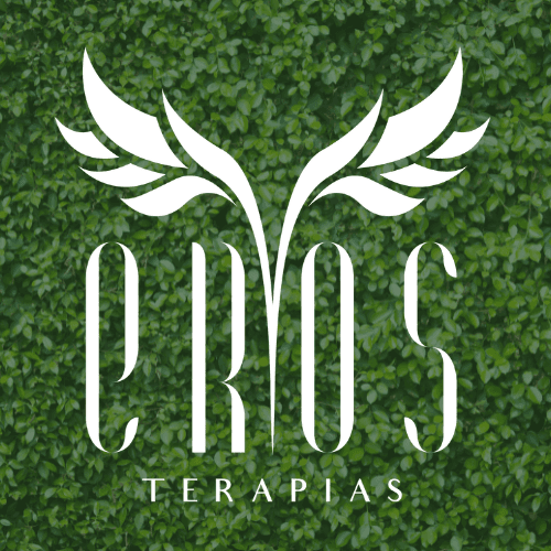 EROS Terapias Temuco photo