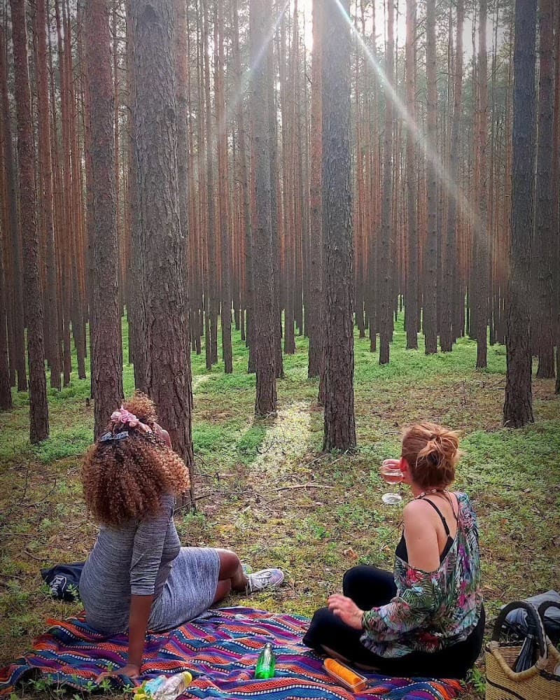 Esensee Leśne Spa Ozimek photo