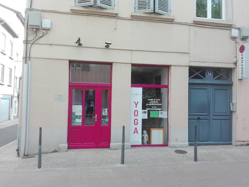 Espace Shiastu Fontaines-sur-Saône photo