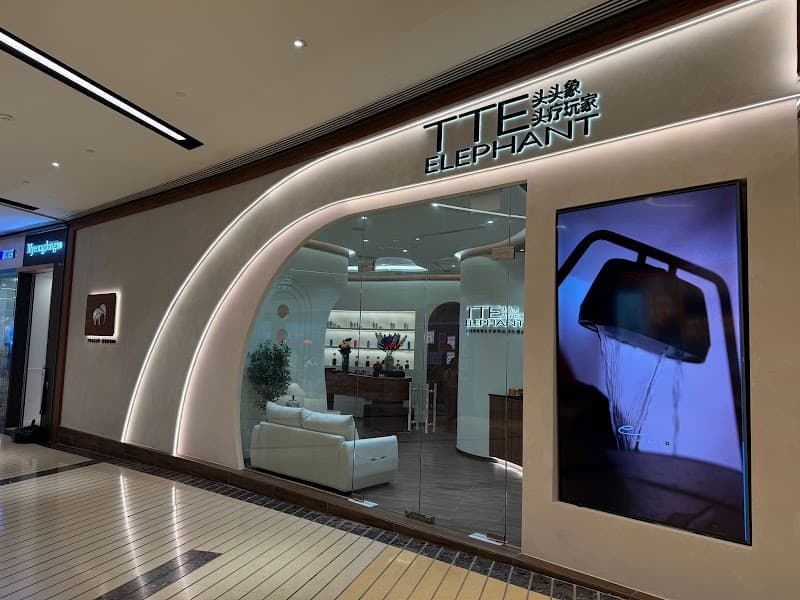 Essentia Headspa & Wellness Singapore photo