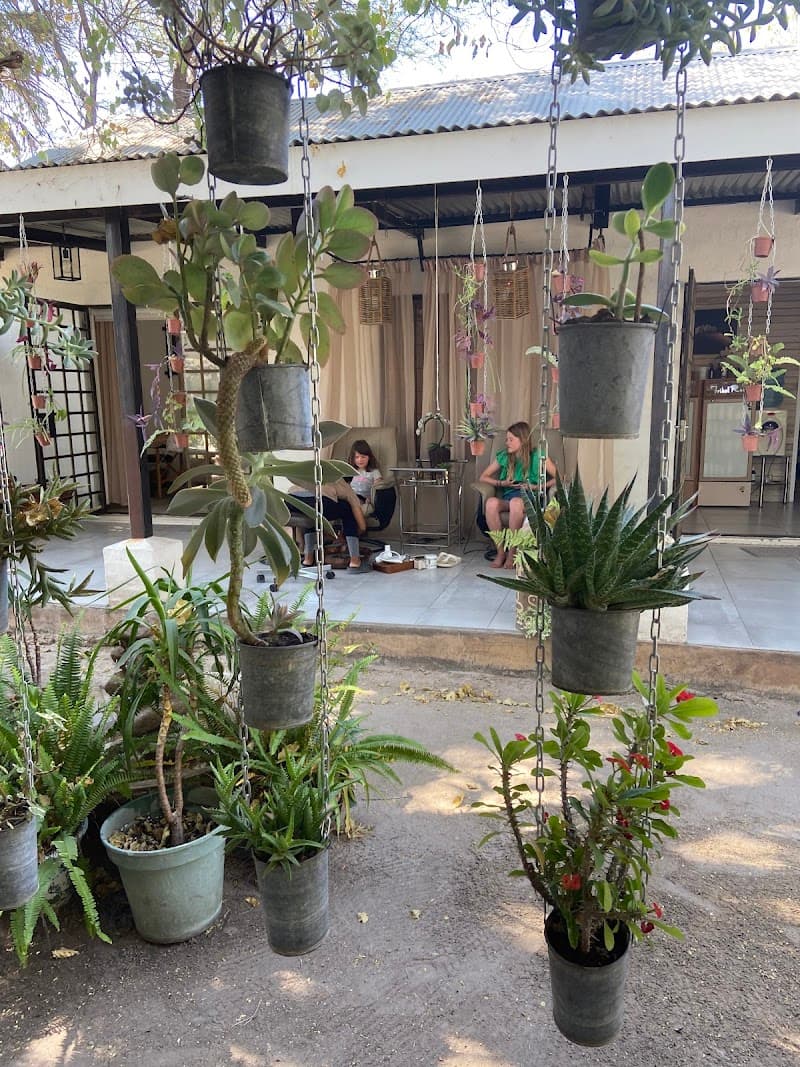 Essentially You Health and Beauty Spa Maun photo