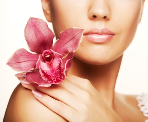 Essentials Massage & Facials of Ehrlich Tampa photo