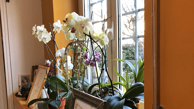 Estetica Ayur Bolsena photo