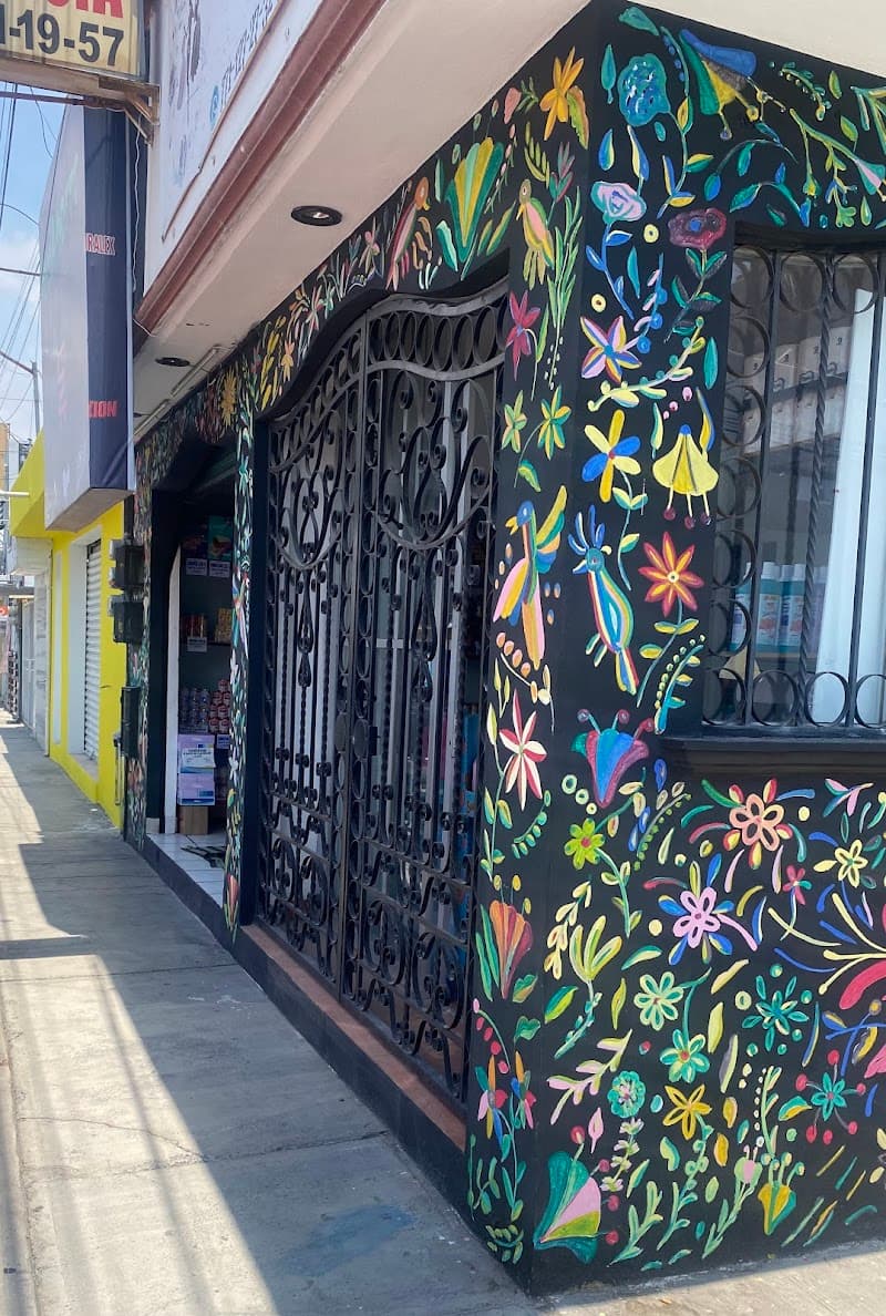 Estetica brush Mineral de la Reforma photo