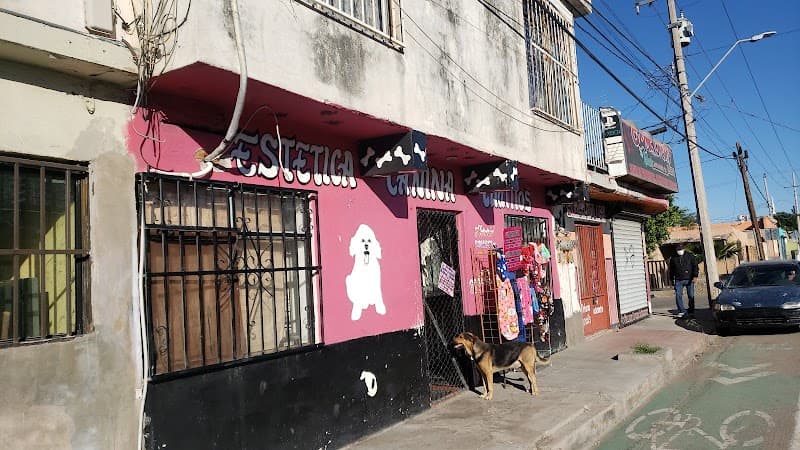 Estetica Canina Chatitos Hermosillo photo