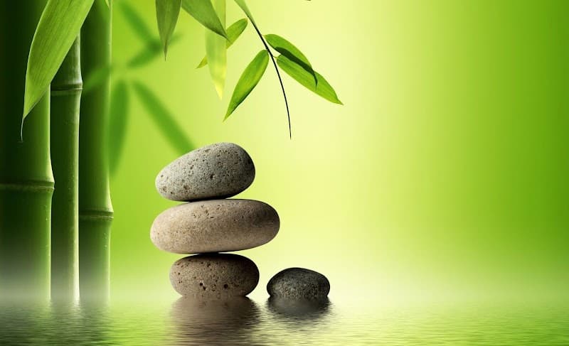 Estética y Spa Alondra Xochimilco photo