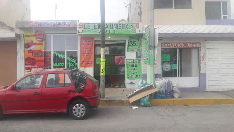 Estetica y Spa Sofía Miguel Hidalgo photo