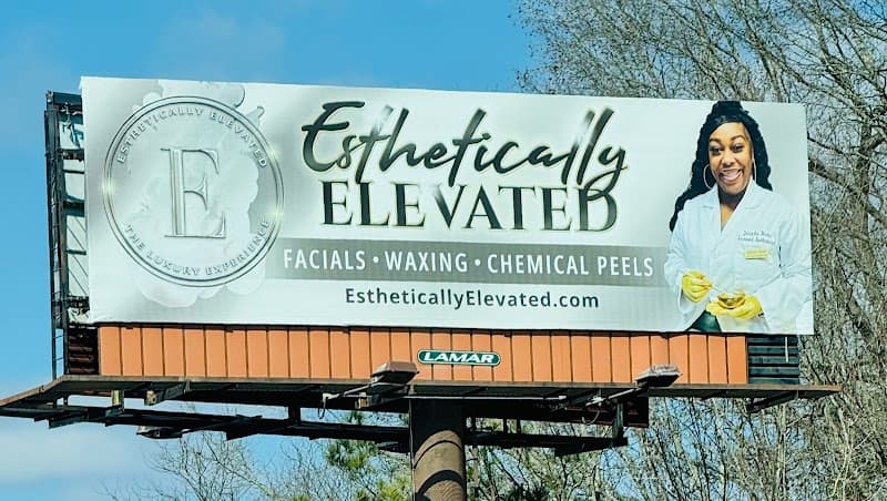 Esthetically Elevated LLC Meridian photo