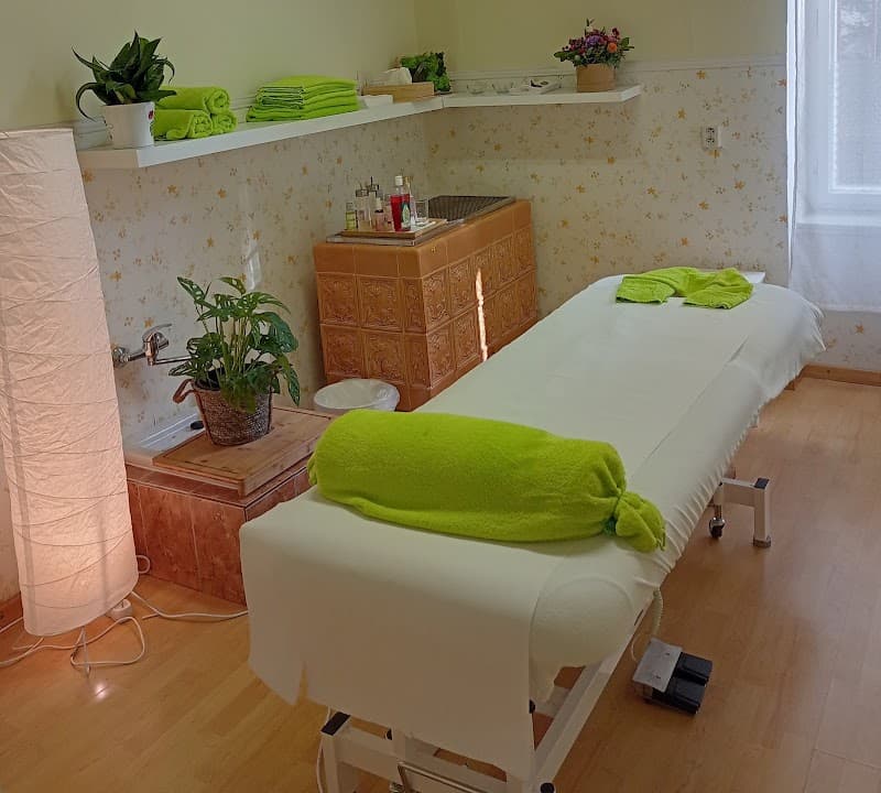 Eva Zikmundova Masaze a Koucink Hradec Králové photo