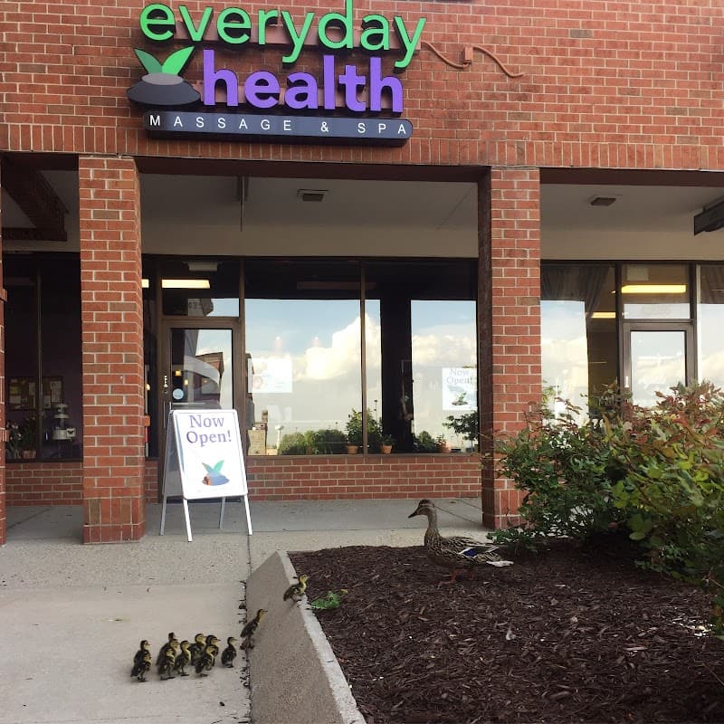 Everyday Health Massage and Spa Novi photo