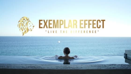 Exemplar Effect, L.L.C. Naples photo