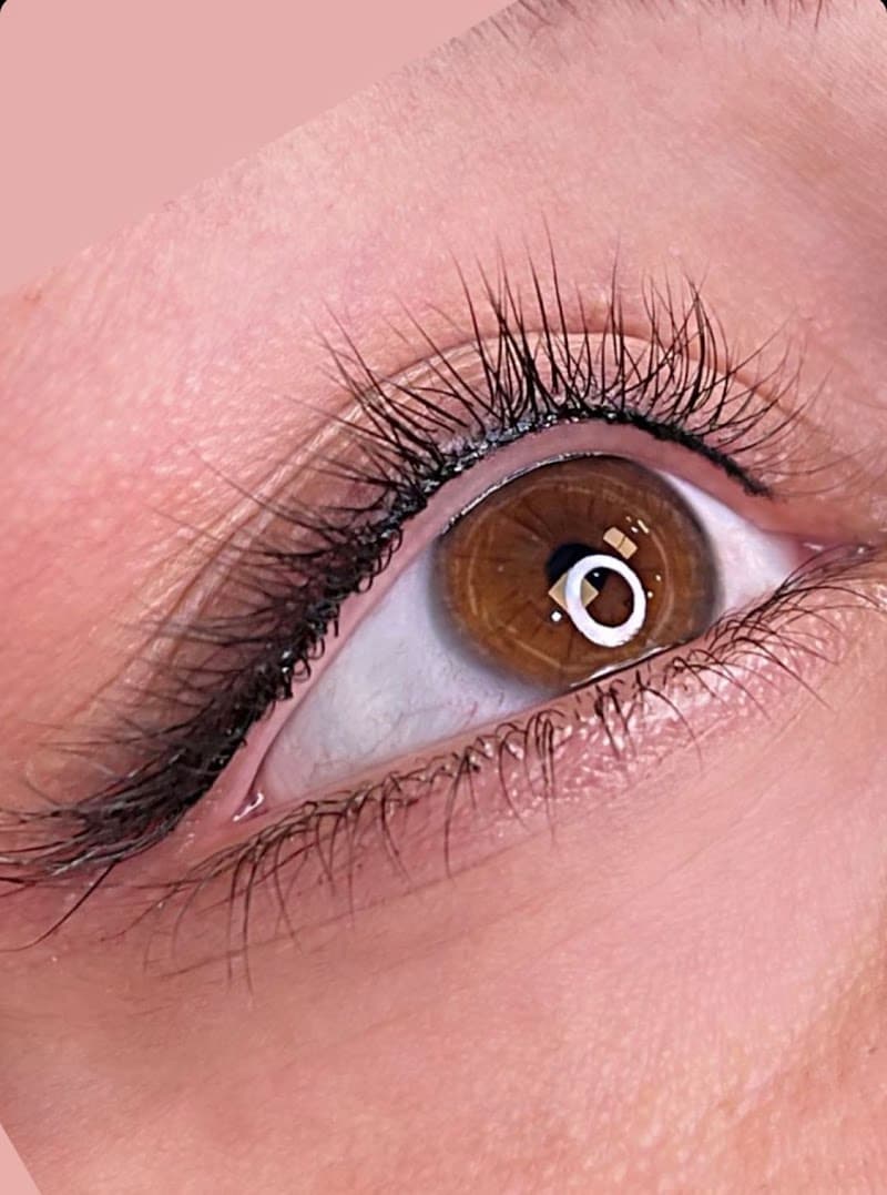 Expert PhiBrows Cochabamba photo
