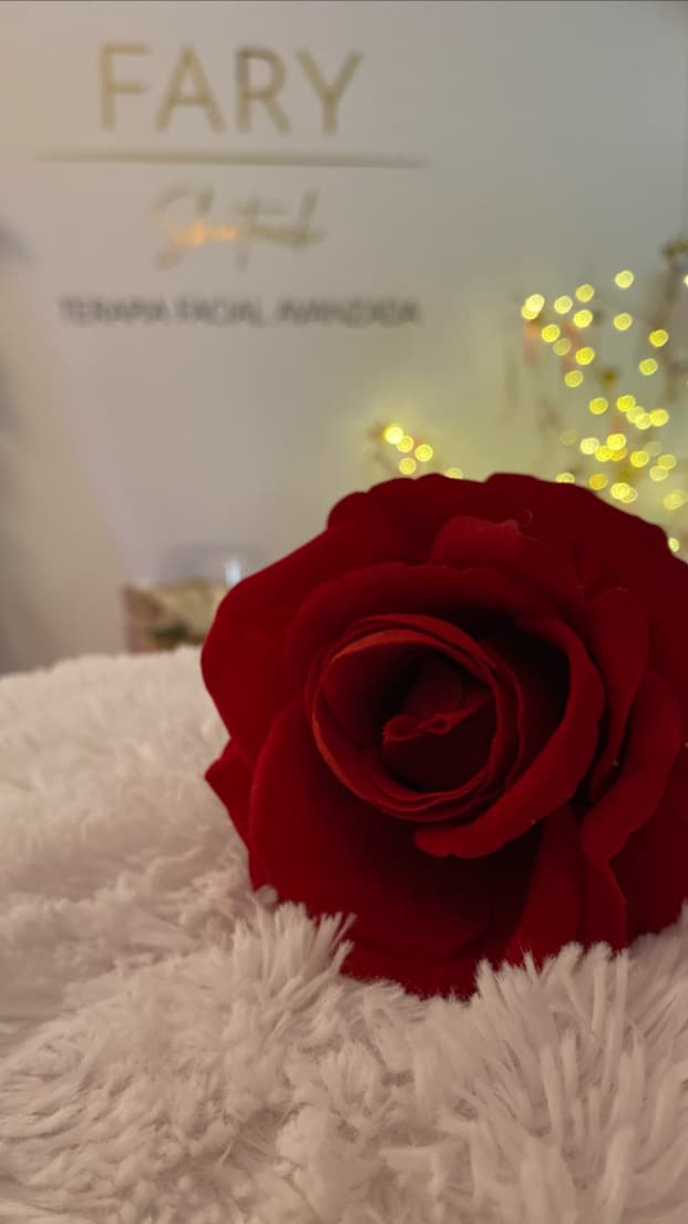 FARY.Skin Touch Spa Facial Cali photo