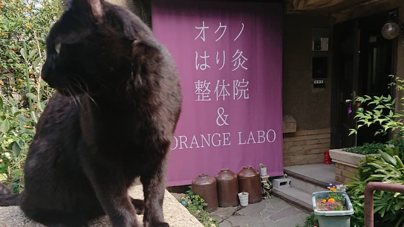 Fascia Release & Gut Health Salon orange.labo Miyakojima Ward, Osaka photo