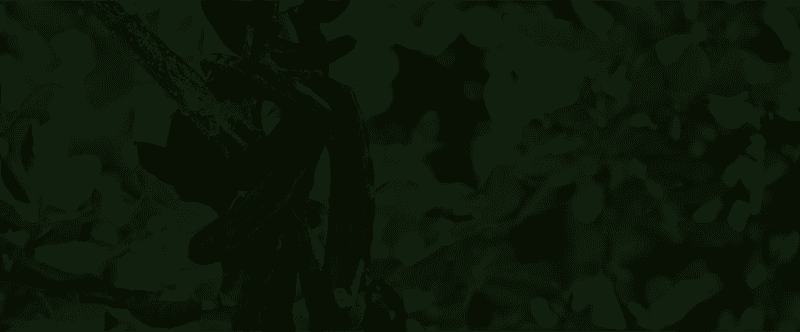 Fascino Spa Orgánico Córdoba photo