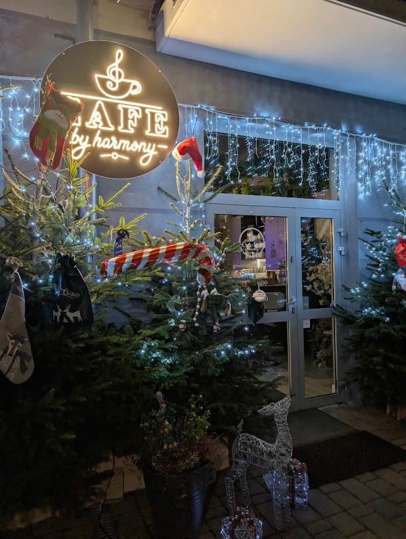 Feel Harmony Jelenia Góra photo