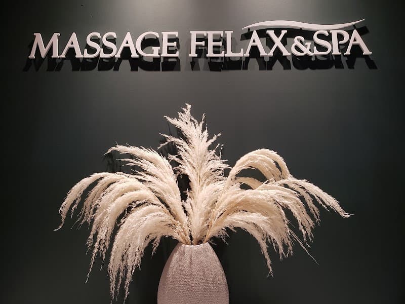 Felax Massage & Spa Addison photo