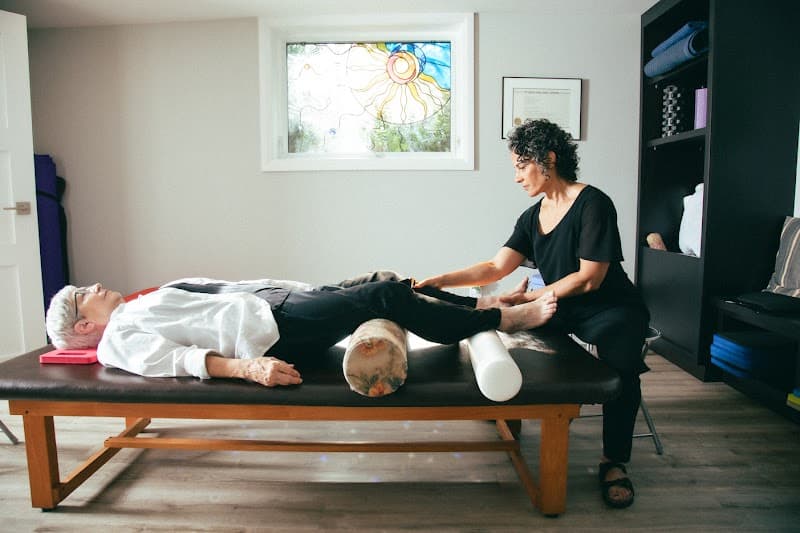 Feldenkrais in Niagara St Catharines photo