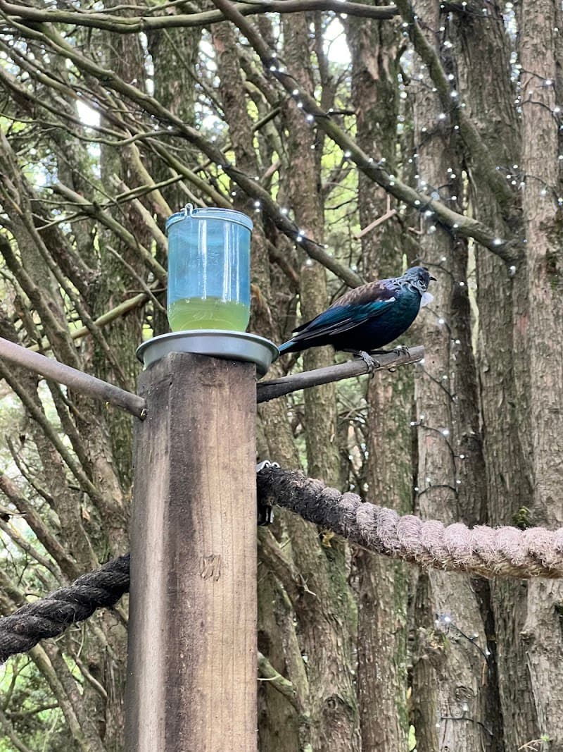 Fern and Feather Retreat Invercargill photo