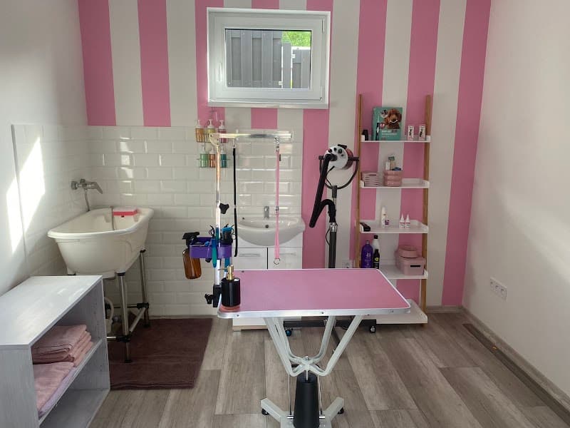 Fifi Salon Kráľovský Chlmec photo