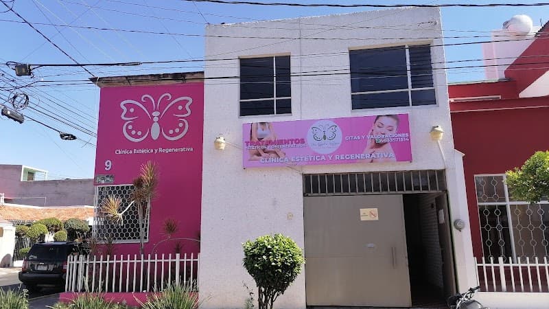 Fillers Y Rellenos Con Ácido Hialurónico Querétaro Morelia photo