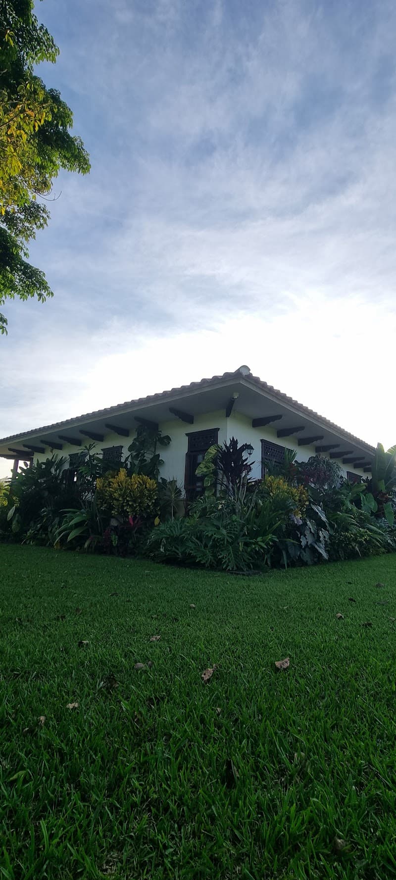 Fincas del Eden Betulia, La Tebaida photo