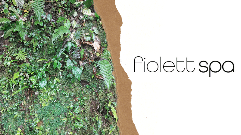 Fiolett Spa Guadalajara photo