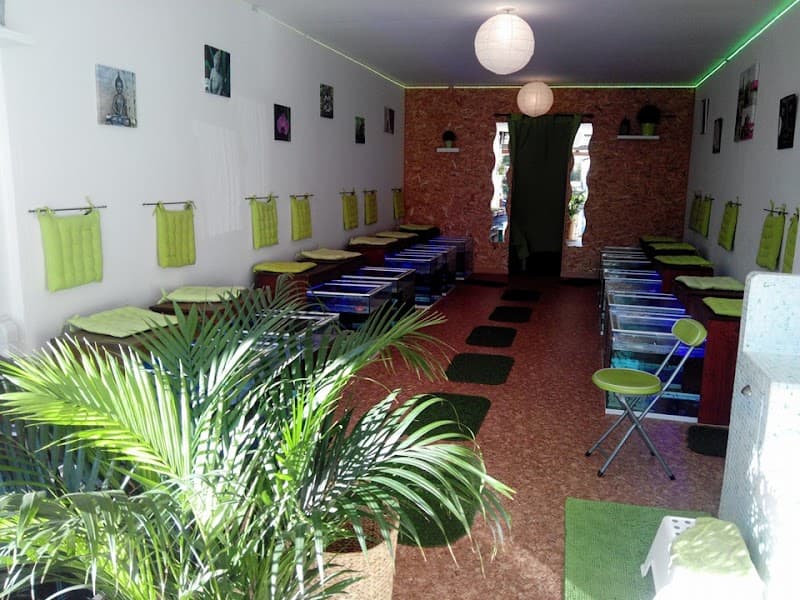 Fish Massage Marseillan-Plage photo