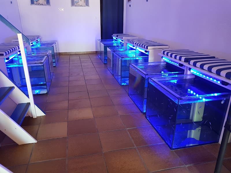 Fish Massage Ronce Sas Fmr La Tremblade photo