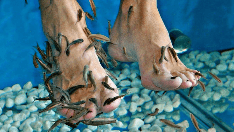 Fish Spa Bled photo