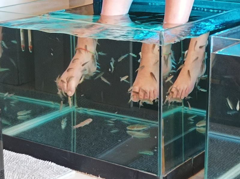 Fish Spa C'est le pied Le Lavandou photo