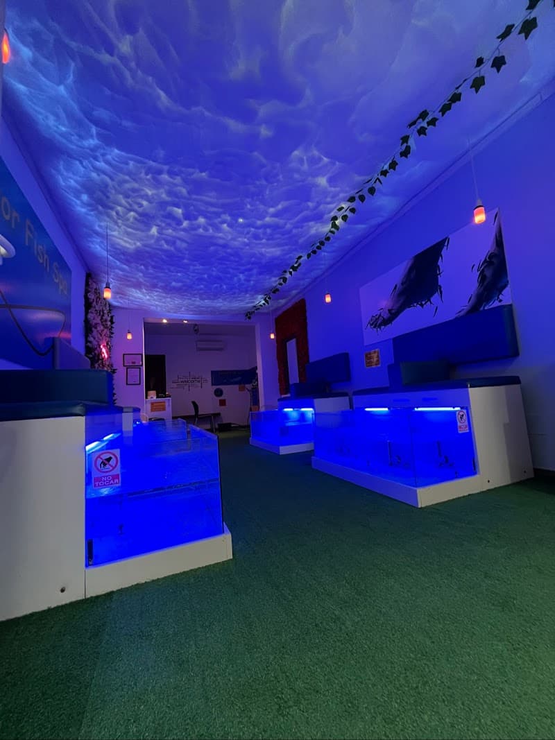 Fish Spa Dr. Estartit Torroella de Montgrí photo